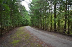 Driveway - Country homes for sale and luxury real estate including horse farms and property in the Caledon and King City areas near Toronto